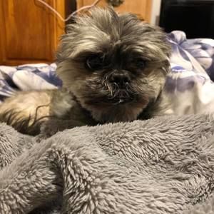 Meet your Posher, Jeannie